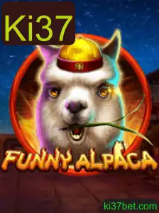 Explorando o Mundo Divertido de 'FunnyAlpaca'