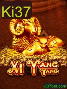 Explorando o Mundo Envolvente de XiYangYang